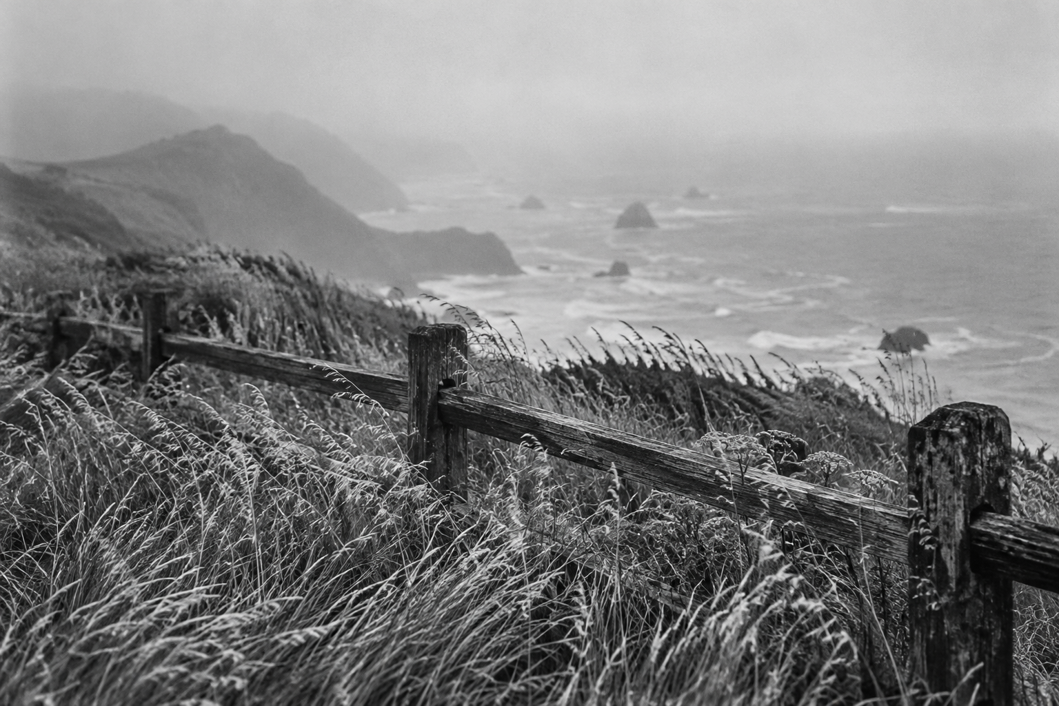 Wind-shaped grasses and a weathered fence above the Pacific